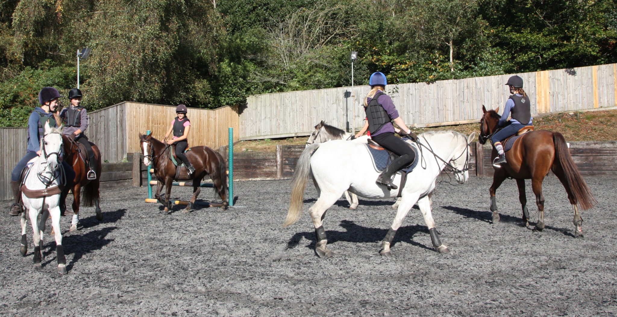 Lessons & Activities Greatham Equestrian Centre