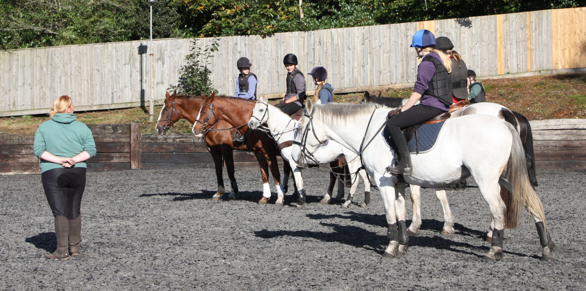 Lessons & Activities Greatham Equestrian Centre