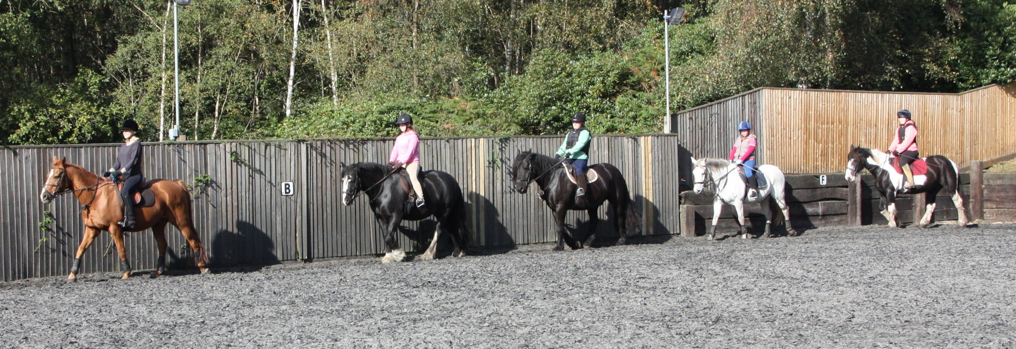 Lessons & Activities Greatham Equestrian Centre