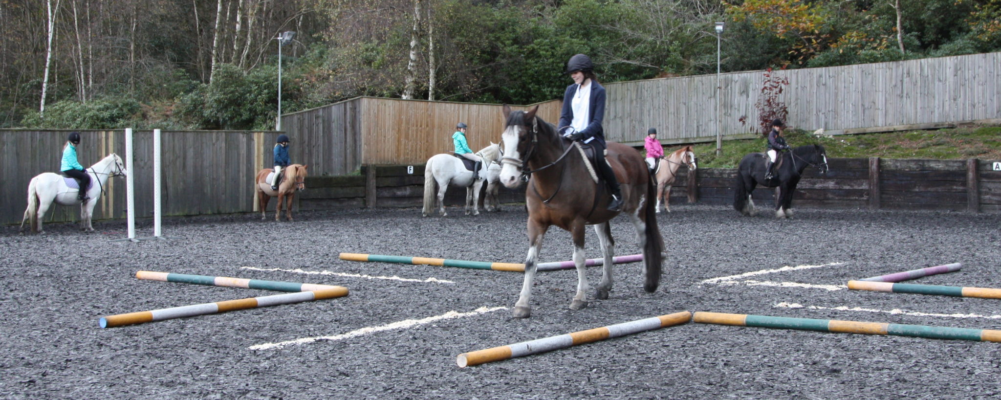 Pony Club at GEC Greatham Equestrian Centre